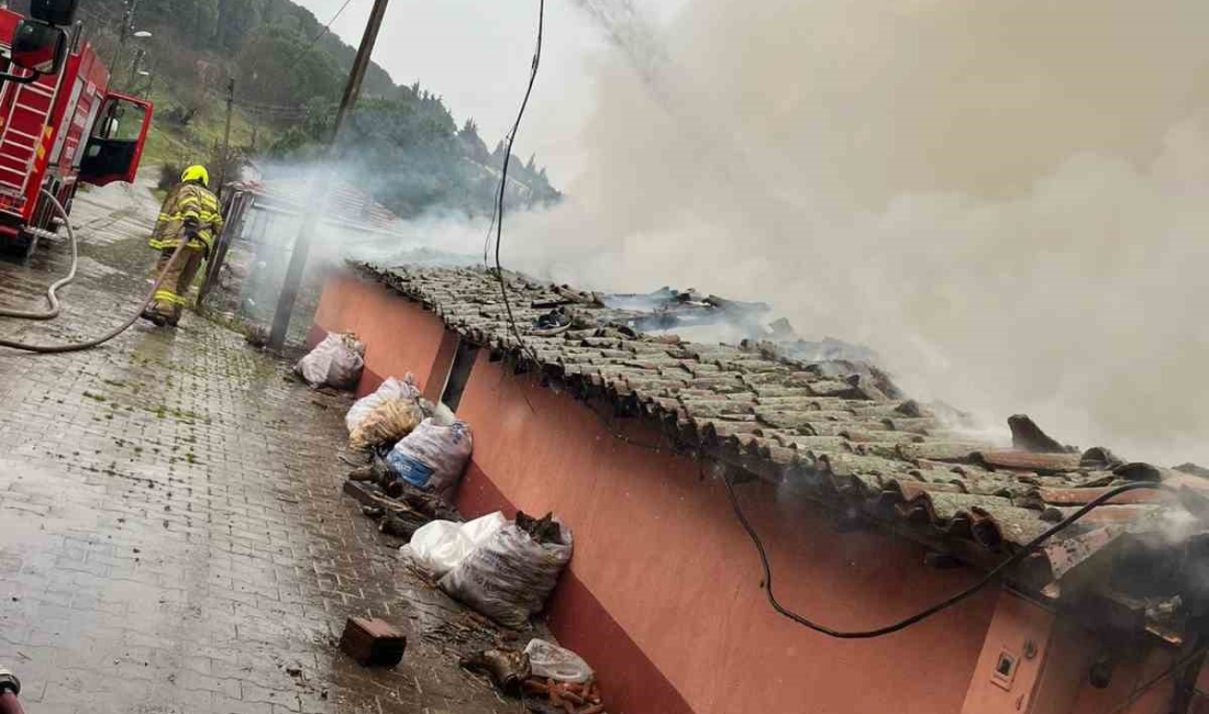 Balıkesir’in Gönen ilçesine bağlı Köteyli Mahallesi’nde çıkan yangında tek katlı