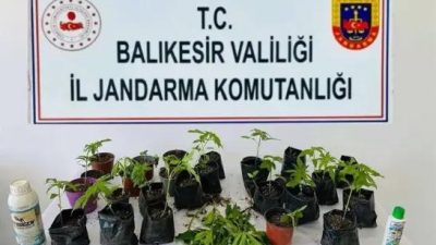 Balıkesir’in Erdek ilçesinde jandarma ekiplerince düzenlenen operasyonda yasa dışı ekildiği