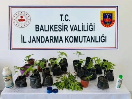 Balıkesir’in Erdek ilçesinde jandarma ekiplerince düzenlenen operasyonda yasa dışı ekildiği