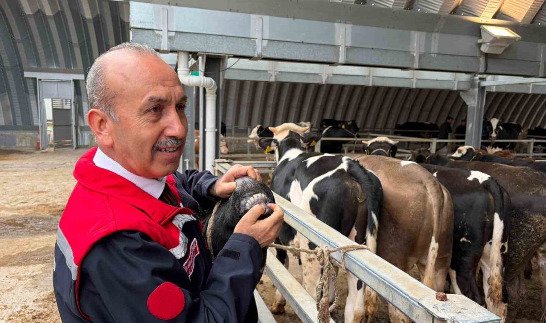 Müdür Düzgün: “256 kesim yeri için onay verildi” Balıkesir Tarım İl Müdürü Dr. Hüseyin Düzgün, il genelinde 27