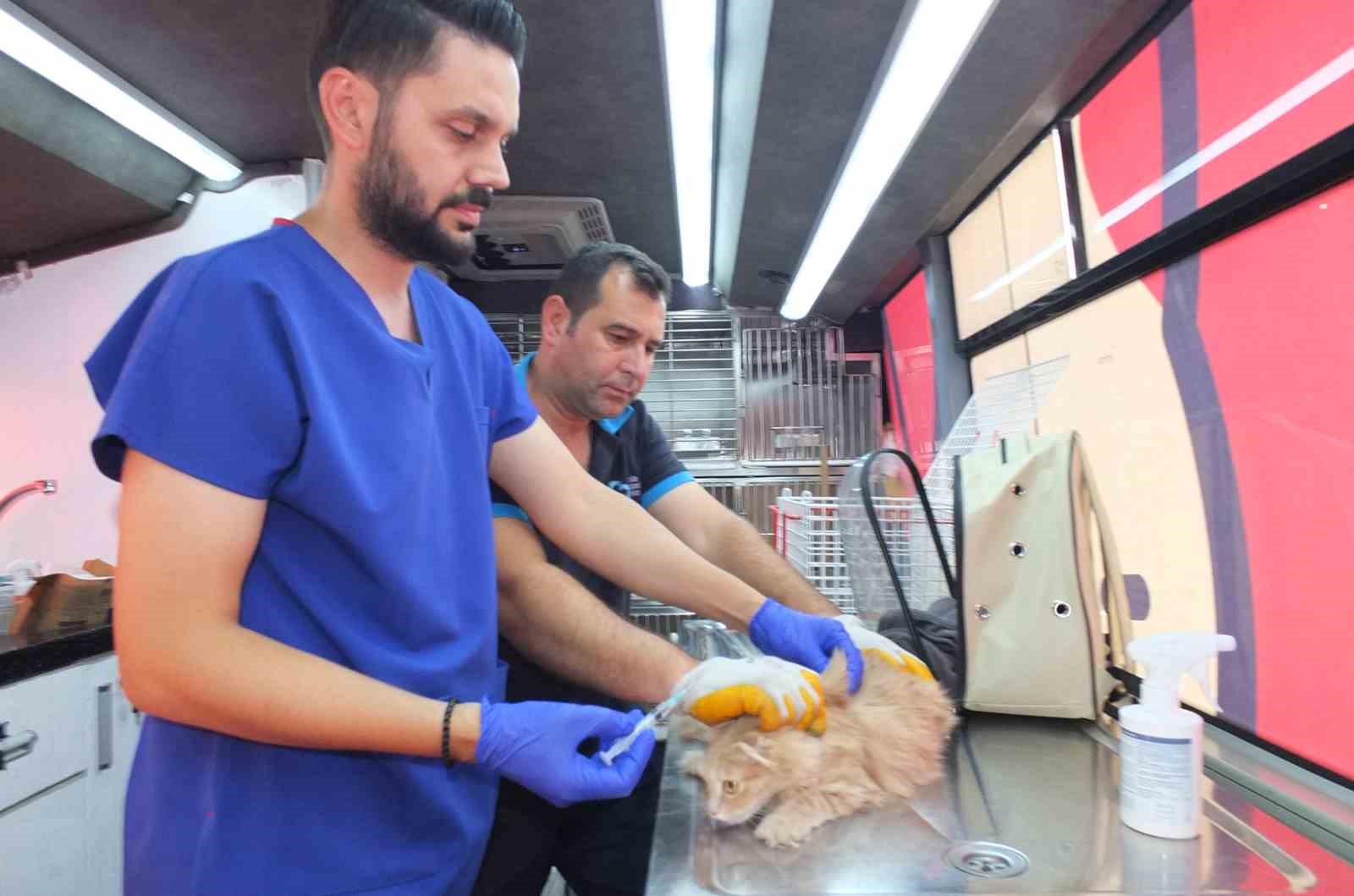 Balıkesir’de ilçe ilçe dolaşarak sokak hayvanlarına ücretsiz tedavi desteği sağlayan