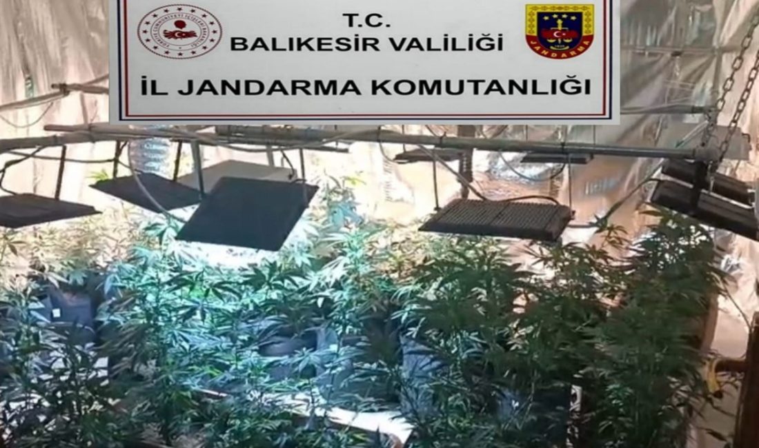 Balıkesir’de jandarmadan uyuşturucu serasına çevrilen evlere baskın: 12 gözaltı Balıkesir İl Jandarma Komutanlığı ekipleri, 5 ilçede evlerini iklimlendirme sistemiyle