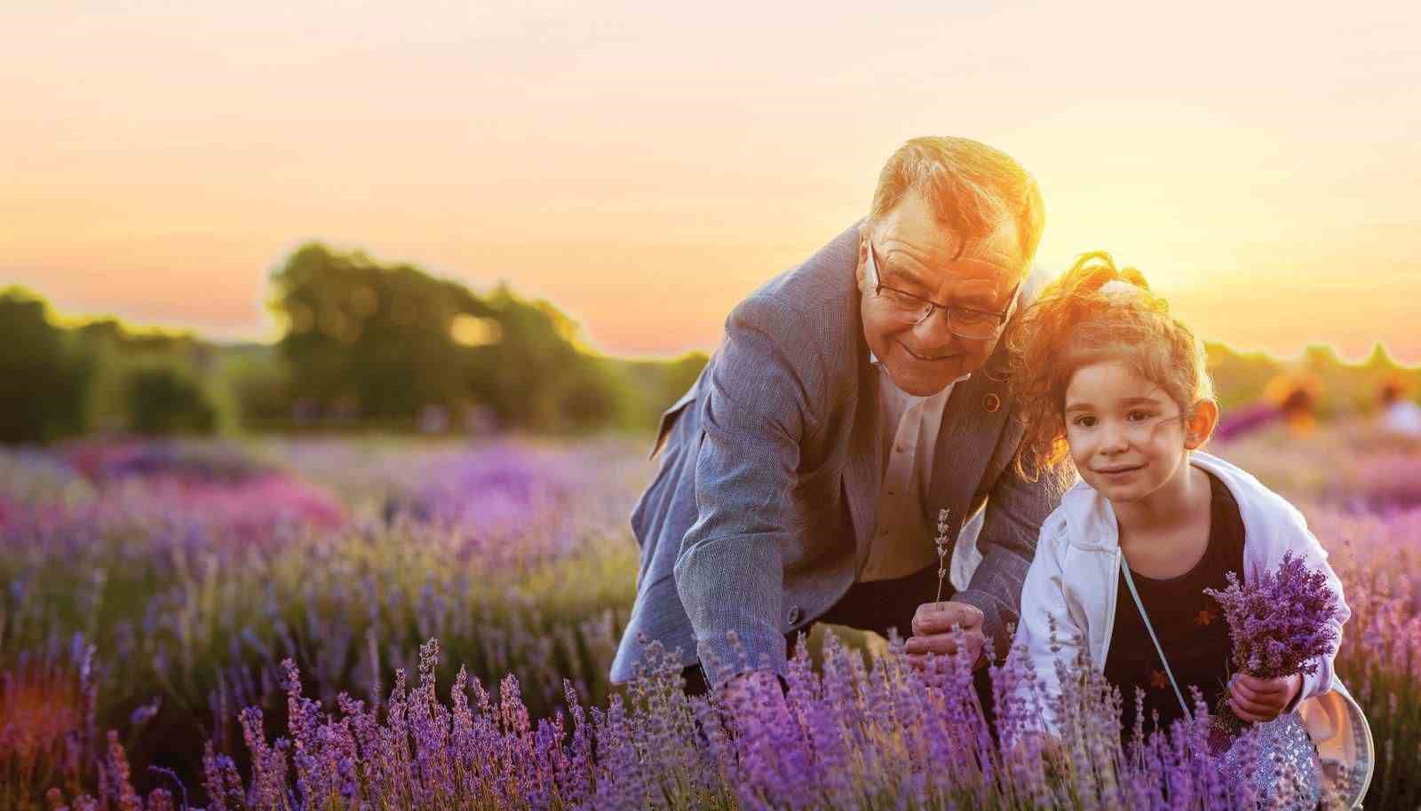 Altıeylül Belediyesi tarafından geleneksel hale getirilen Lavanta Günleri, bu yıl