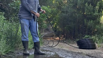 Edremit İlçesinde, 3 yıl önce hayata geçirilen Kazdağı Bal Ormanı