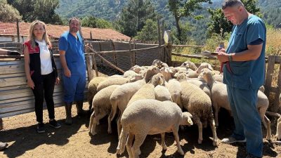 Balıkesir’in Burhaniye ilçesinde hayvancılığın sürdürülebilirliği ve hayvan sağlığının korunması amacıyla