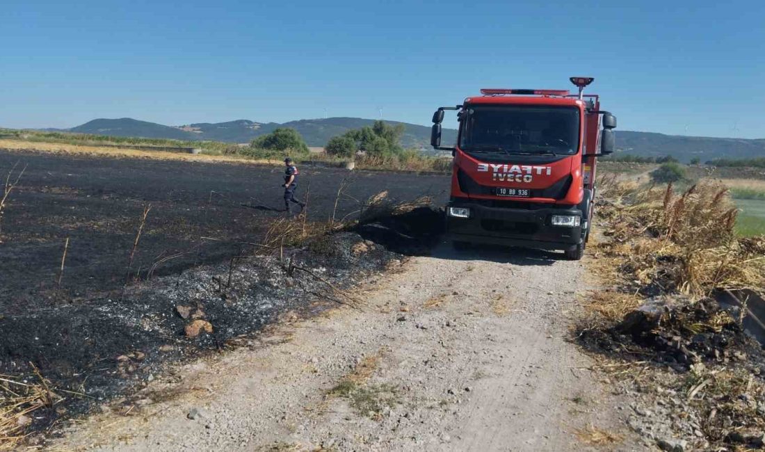 Balıkesir’in Gönen ilçesinde ekili buğday tarlası ve arazide çıkan yangın,