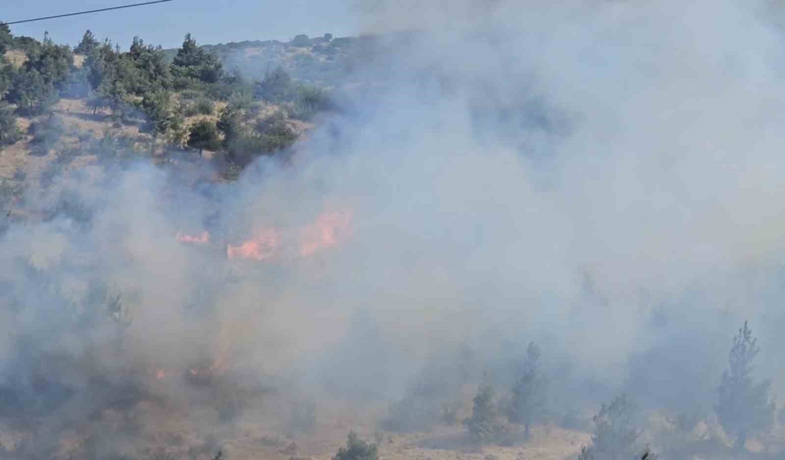 Balıkesir’de Dinkçiler Mahallesi’nde, TOKİ Konutları ile Karesi Huzurevi arasında bulunan