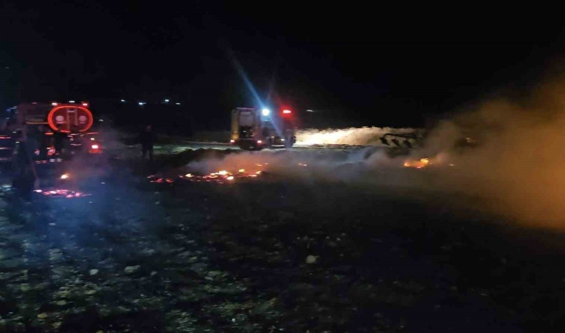 Balıkesir’de alevler geceyi aydınlattı Balıkesir’de otluk alanda çıkan yangında alevler geceyi aydınlattı.