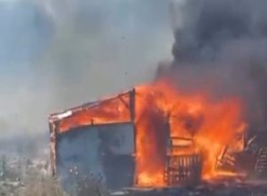 Balıkesir’in Ayvalık ilçesinde çıkan ahır yangını ekiplerin yoğun müdahalesiyle söndürüldü.