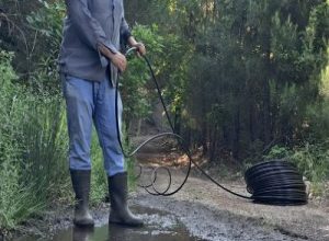 Edremit İlçesinde, 3 yıl önce hayata geçirilen Kazdağı Bal Ormanı