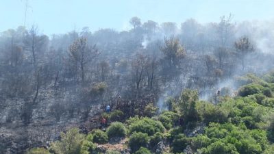 Balıkesir’in Burhaniye ilçesine bağlı Taylıeli Mahallesi kırsalındaki ormanlık alanda çıkan