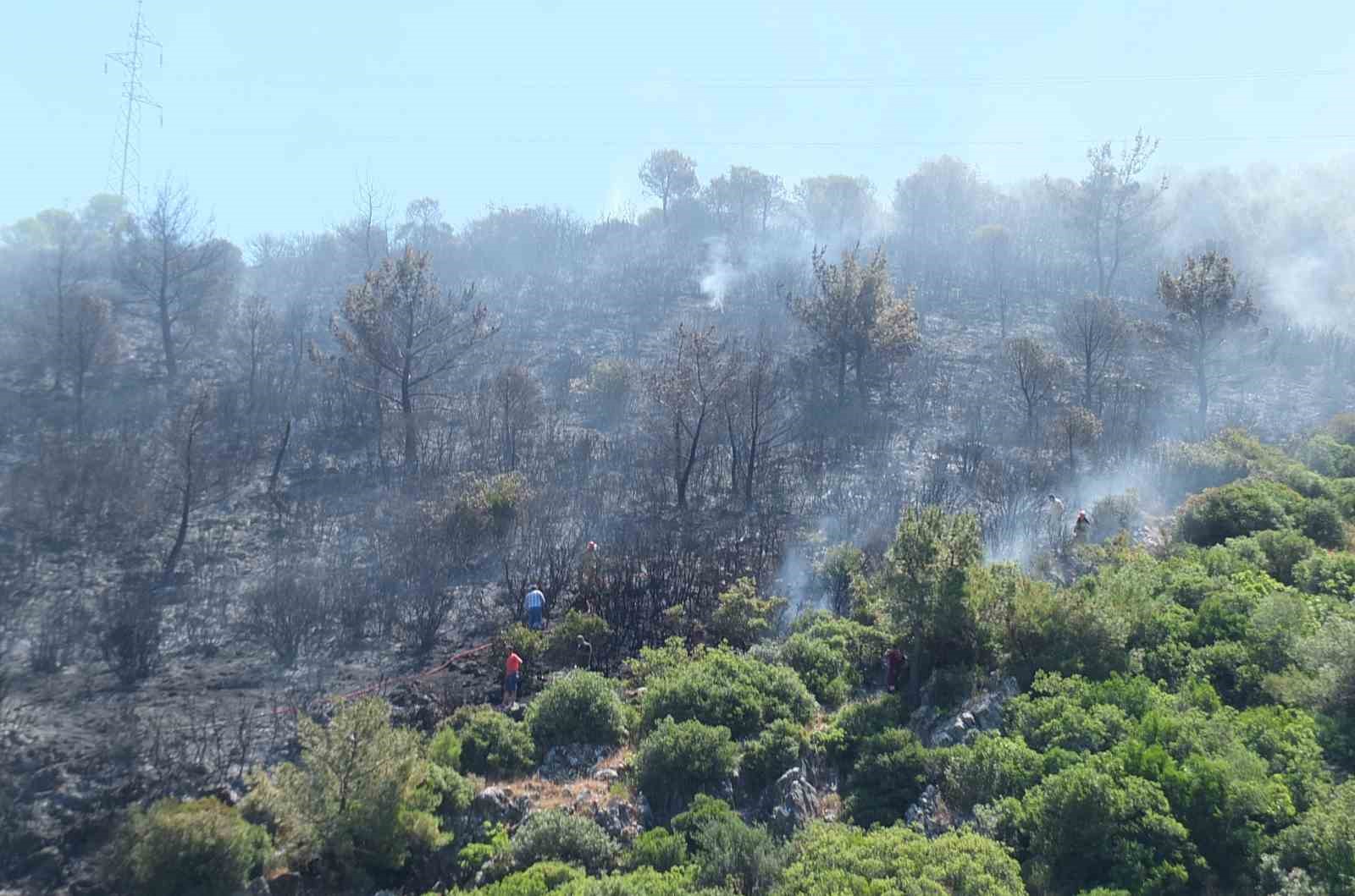 Burhaniye ilçesine bağlı Taylıeli Mahallesi’ndeki ormanlık alanda yangın çıktı. Alevlerin