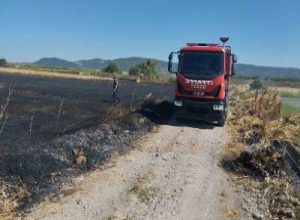 Balıkesir’in Gönen ilçesinde ekili buğday tarlası ve arazide çıkan yangın,