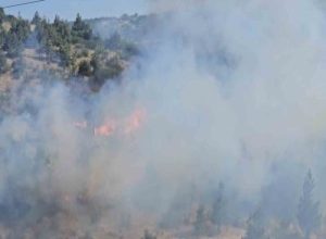 Balıkesir’de Dinkçiler Mahallesi’nde, TOKİ Konutları ile Karesi Huzurevi arasında bulunan
