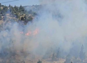Balıkesir’de Dinkçiler Mahallesi’nde, TOKİ Konutları ile Karesi Huzurevi arasında bulunan