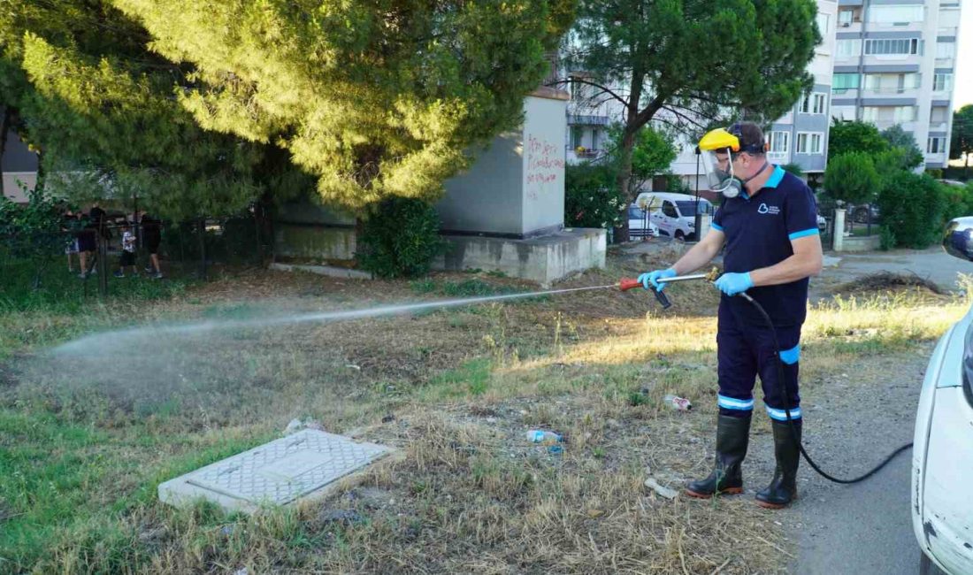Balıkesir’de vektörle mücadelede tam zamanlı mesai Balıkesir Büyükşehir Belediyesi, güçlü kadrosu ve modern teknolojiye sahip cihazlarıyla