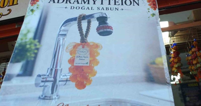 Burhaniye’de Salkım Sabun ilgi gördü Türkiye’nin önemli zeytin üretim merkezlerinden Balıkesir’in Burhaniye ilçesinde üretilen zeytinyağı