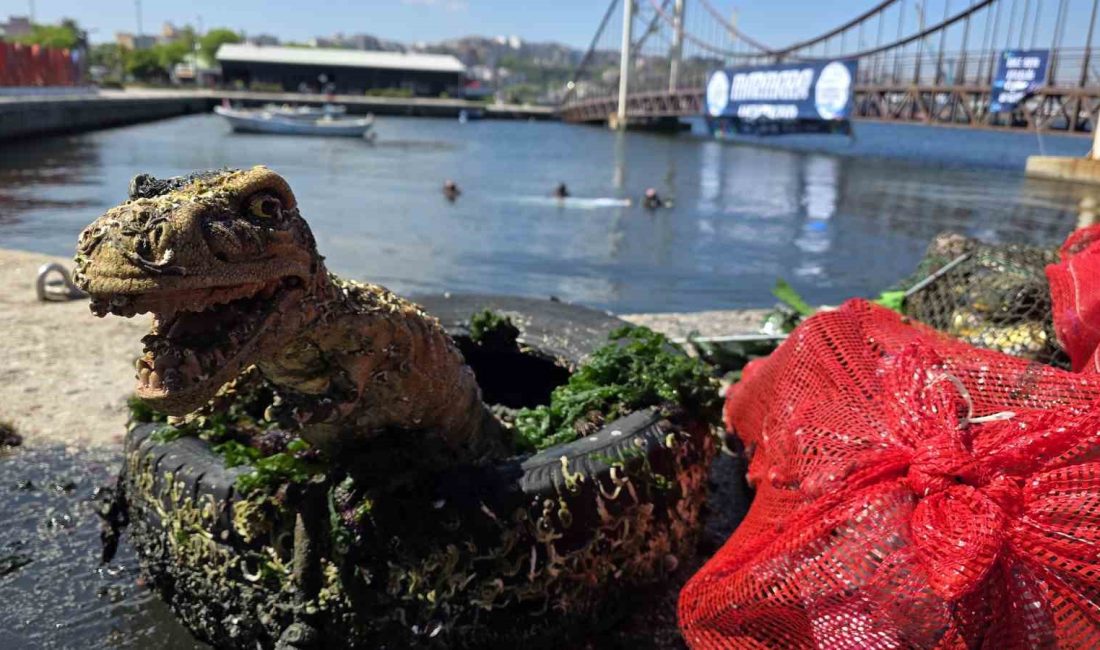 Marmara Denizi Günü’nde denizden maket dinozor çıktı 8 Haziran Marmara Denizi Günü kapsamında Balıkesir’in Bandırma ilçesinde deniz