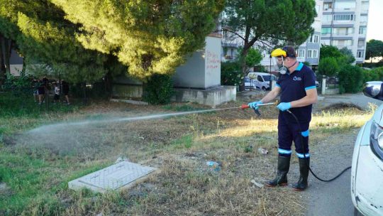 Balıkesir’de vektörle mücadelede tam zamanlı mesai Balıkesir Büyükşehir Belediyesi, güçlü kadrosu ve modern teknolojiye sahip cihazlarıyla