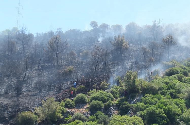Balıkesir’deki orman yangını kontrol altına alındı Balıkesir’in Burhaniye ilçesine bağlı Taylıeli Mahallesi kırsalındaki ormanlık alanda çıkan