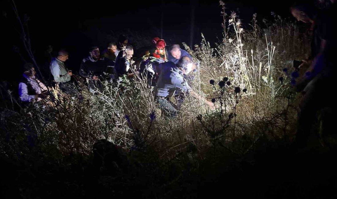 Balıkesir’de traktör yoldan çıktı: 3 yaralı Balıkesir’in Altıeylül ilçesinde yoldan çıkıp şarampole uçan traktörde bulunan 3