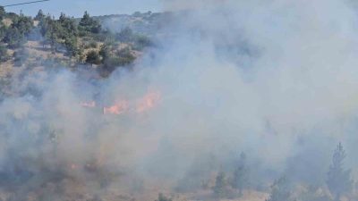 Balıkesir’de Dinkçiler Mahallesi’nde, TOKİ Konutları ile Karesi Huzurevi arasında bulunan