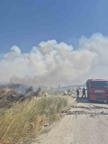 Balıkesir’deki orman yangını kontrol altına alındı Balıkesir’in Bigadiç ilçesinde ormanlık alanda çıkan yangın, ekiplerin yaklaşık 3