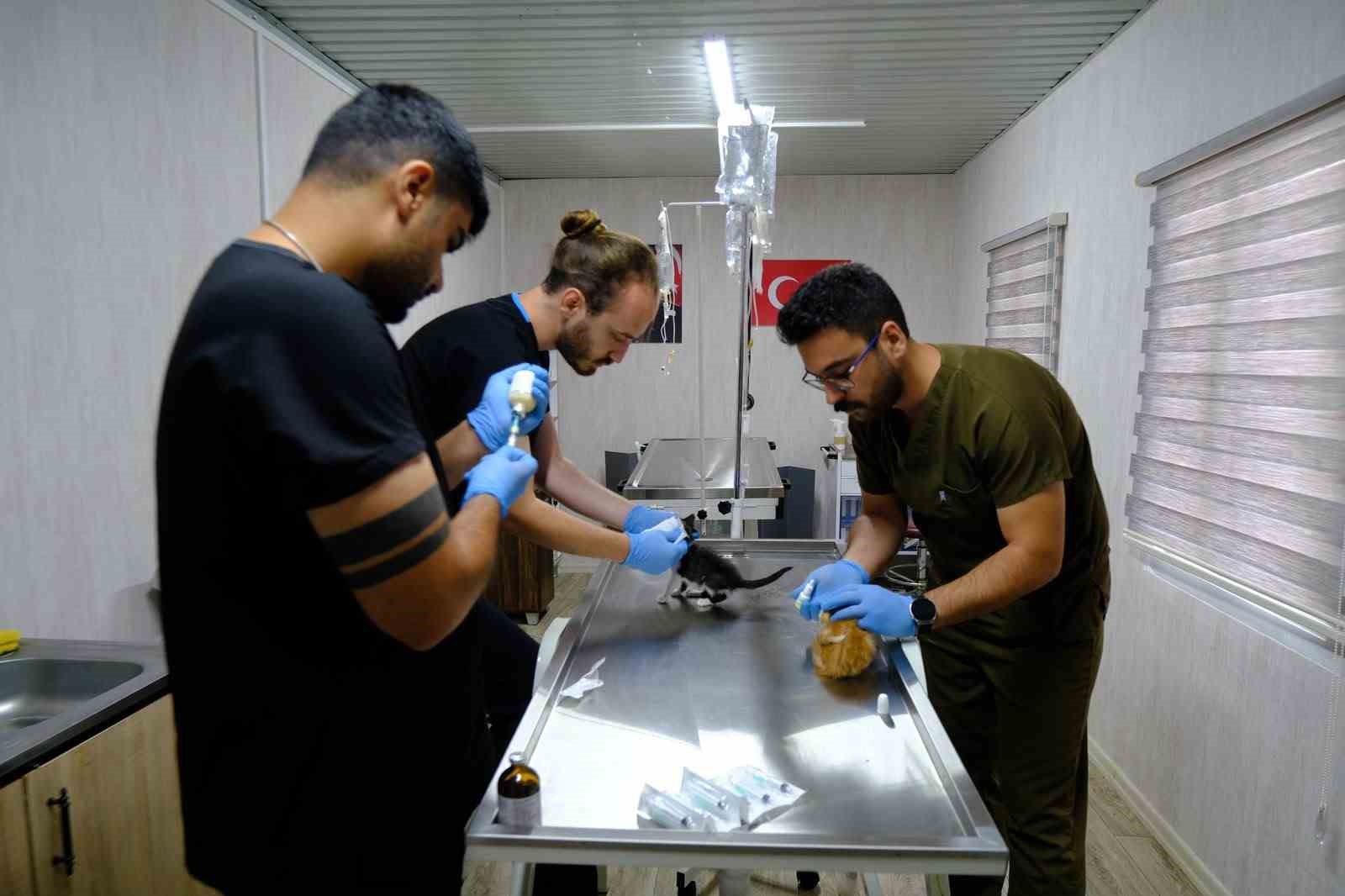 Altıeylül Belediyesi Veteriner İşleri Müdürlüğü bünyesinde faaliyet gösteren Hayvan Bakımevi