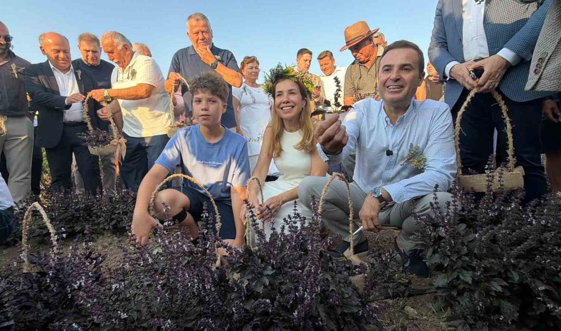 Balıkesir’de 7.Uluslararası Aromaterapi Festivali başladı Balıkesir Büyükşehir Belediyesi tarafından düzenlenen ve bu yıl uluslararası boyutu