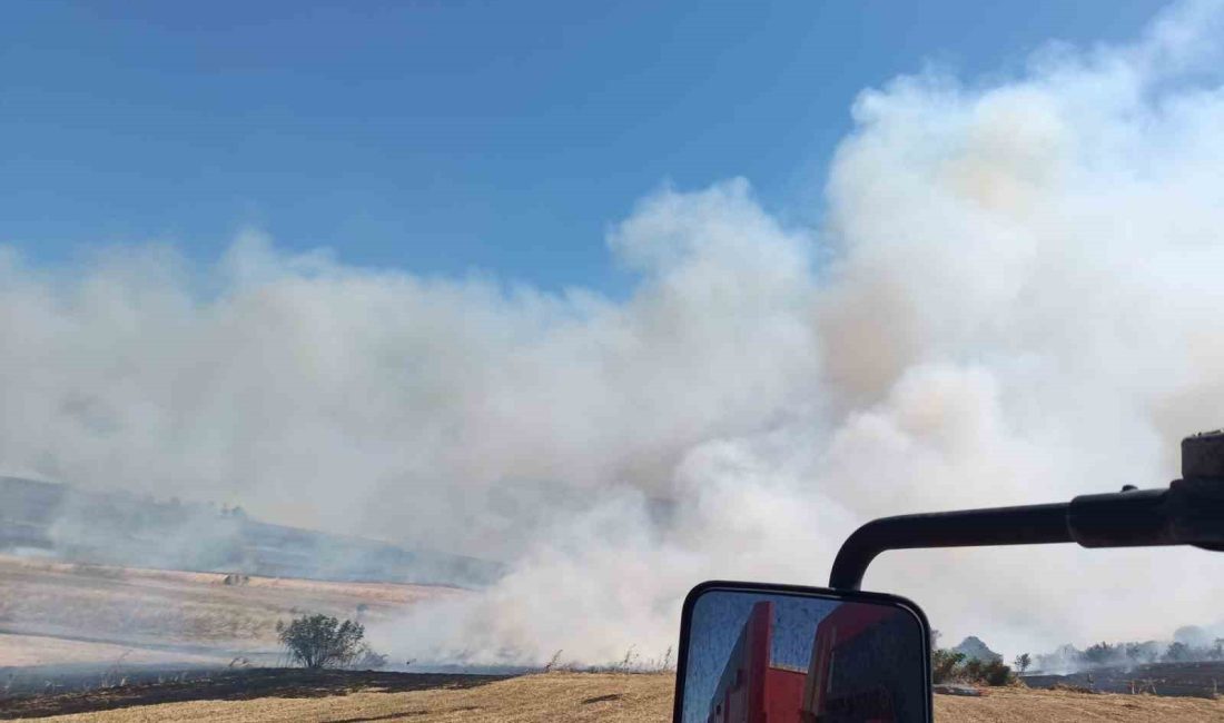 Manyas’ta çıkan anız ve orman yangını söndürüldü Balıkesir’in Manyas ilçesinde ormana sıçrayan anız yangını, büyümeden kontrol altına