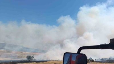 Balıkesir’in Manyas ilçesinde ormana sıçrayan anız yangını, büyümeden kontrol altına