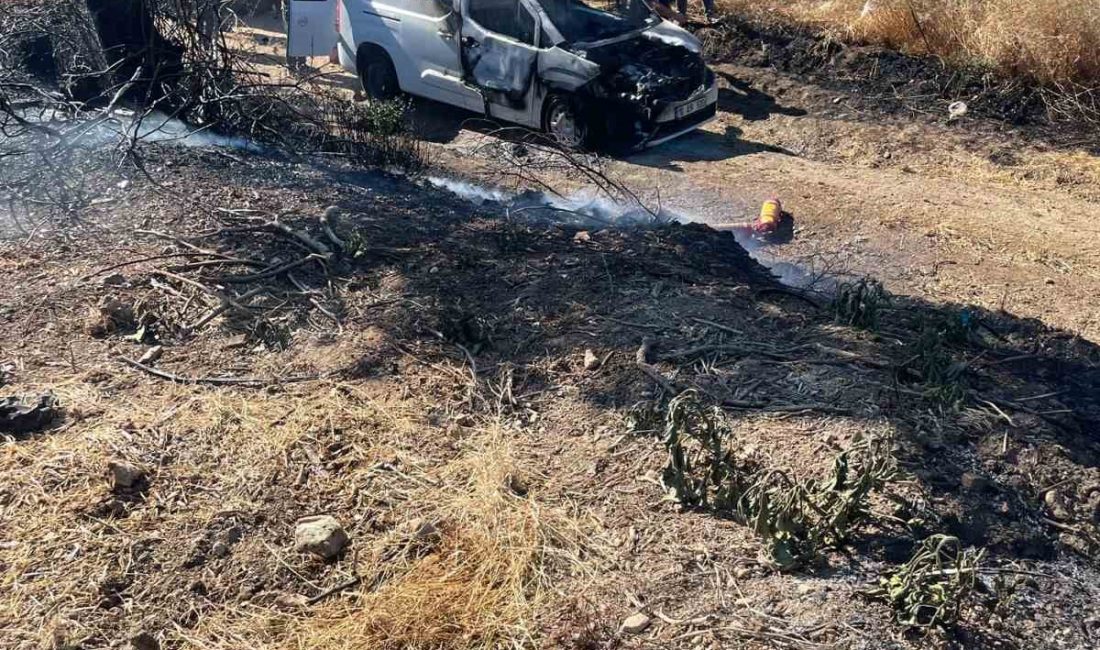 Balıkesir’in Manyas ilçesinde bir araçta çıkan ve yol kenarındaki otluk