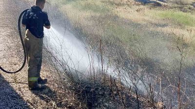 Balıkesir’in Susurluk ilçesinde iki mahalle arasındaki arazi ve koruluk alanda