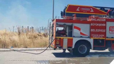 Balıkesir’in Susurluk ilçesinde kapalı pazar yerinin karşısında ki otluk alanda