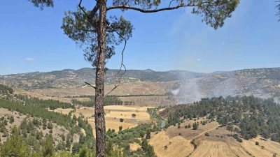 Balıkesir’in Dursunbey ilçesine bağlı Adaören kırsal mahallesi yakınlarında orman dışı