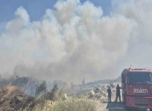 Balıkesir’in Bigadiç ilçesinde ormanlık alanda çıkan yangın, ekiplerin yaklaşık 3