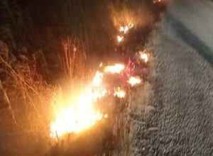 Balıkesir’in Ayvalık ilçesine bağlı Küçükköy Mahallesi’nde çıkan otluk alan yangını,