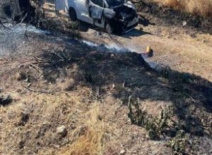 Balıkesir’in Manyas ilçesinde bir araçta çıkan ve yol kenarındaki otluk
