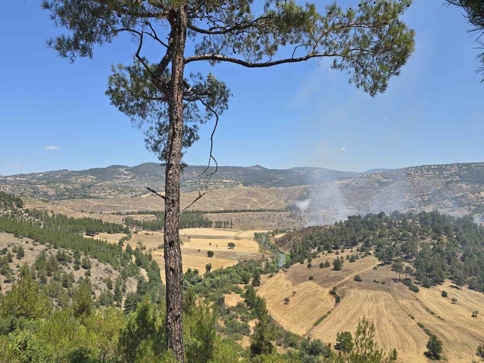 Balıkesir’in Dursunbey ilçesine bağlı Adaören kırsal mahallesi yakınlarında orman dışı