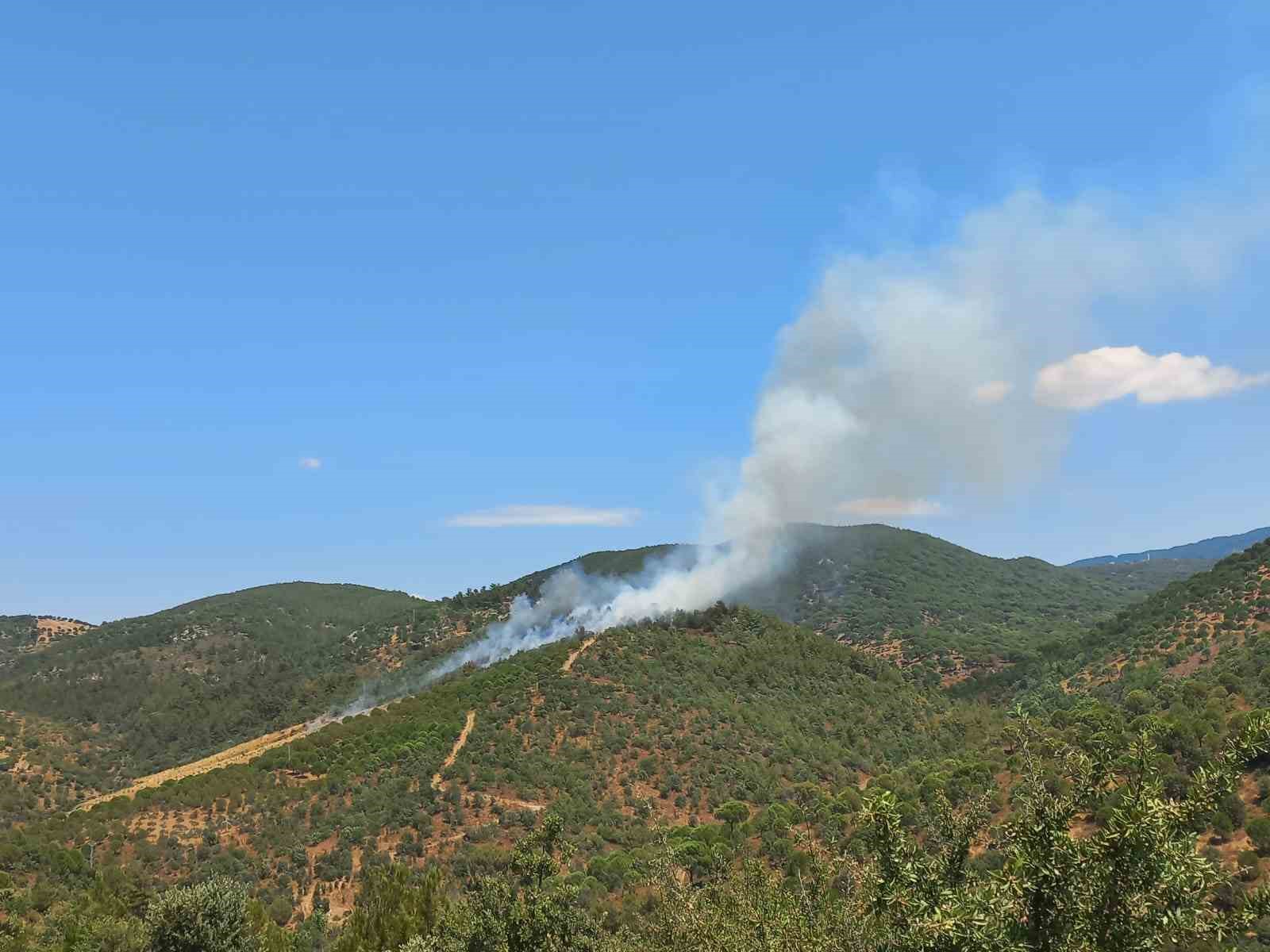 Balıkesir’in Burhaniye İlçesine bağlı Hacıbozlar Mahallesinde saat 14.30 dolayında çıkan