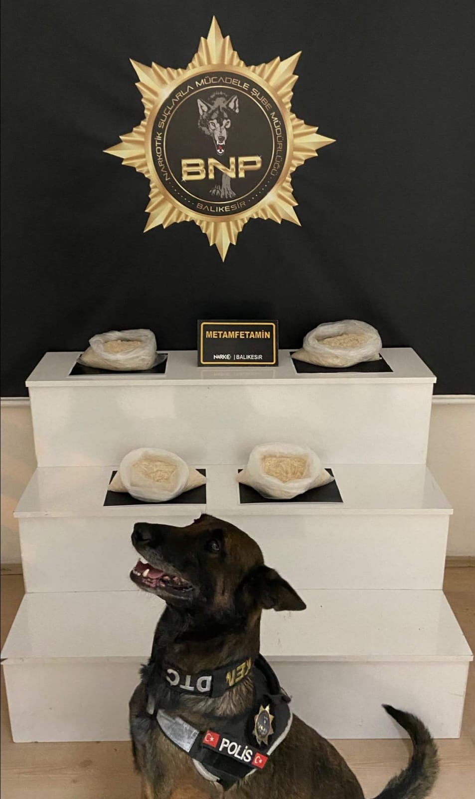 Balıkesir'in Savaştepe ilçesinde narkotik polisleri ve narkotik köpeği 'Dangal'ın da