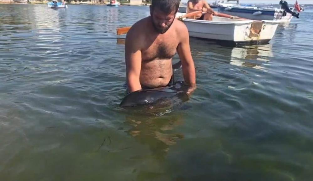 Balıkesir'in Erdek ilçesine bağlı Tatlısu Mahallesi Büyük Bakraç mevkiinde karaya