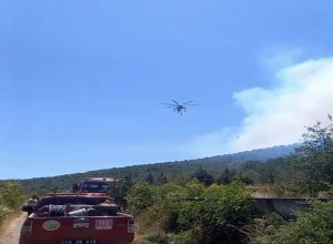 Gömeç'te alevlerle mücadele devam ederken, Sındırgı ilçesinde de yangın çıktı.