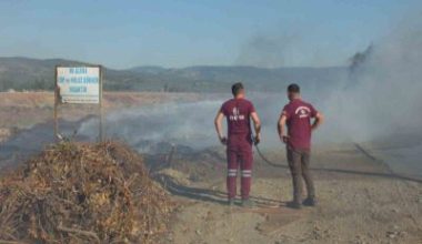 Burhaniye ilçesinde, Karınca Deresi kenarında çıkan ot yangını geniş alana