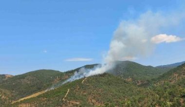 Balıkesir’in Burhaniye İlçesine bağlı Hacıbozlar Mahallesinde saat 14.30 dolayında çıkan