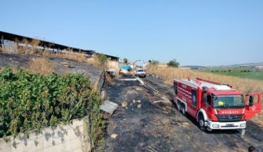 Balıkesir'in Manyas ilçesinde otluk alan ve buğday tarlasında meydana gelen