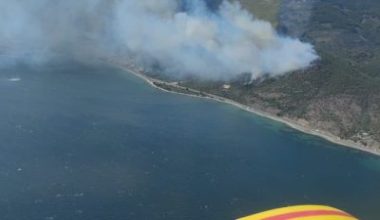 Balıkesir'in Edremit ilçesine bağlı Altınoluk Mahallesi'ndeki orman yangını ile ilgili