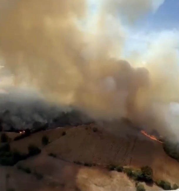 Balıkesir’in Bigadiç ilçesinde ziraat arazisinde çıkan ve kısa sürede ormanlık