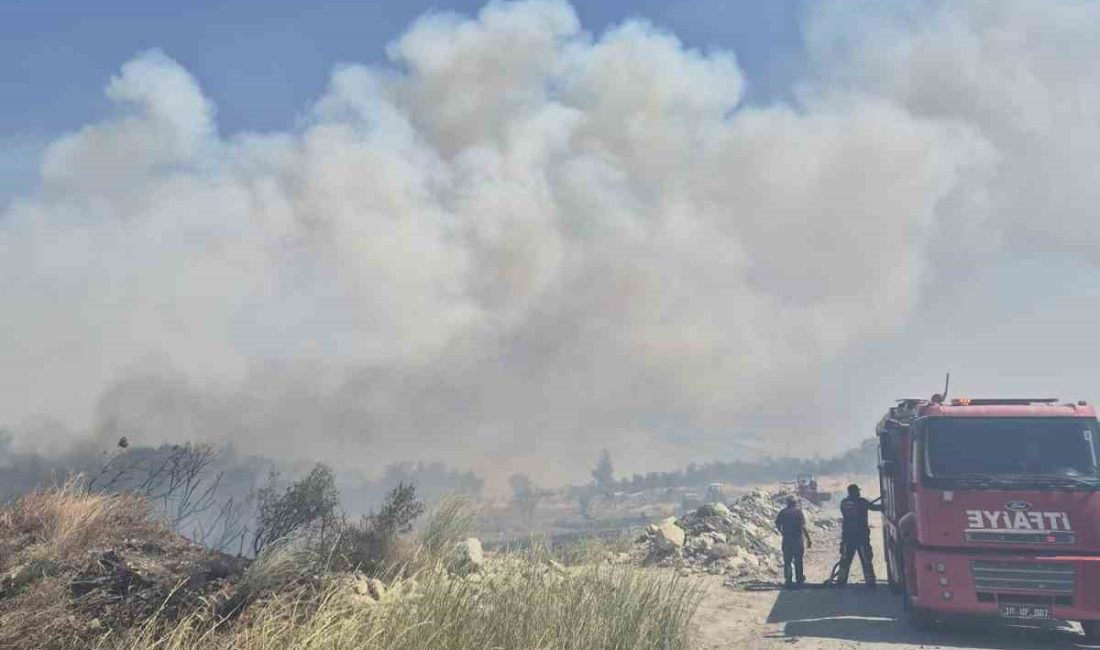 Balıkesir’in Bigadiç ilçesinde ormanlık alanda çıkan yangın, ekiplerin yaklaşık 3