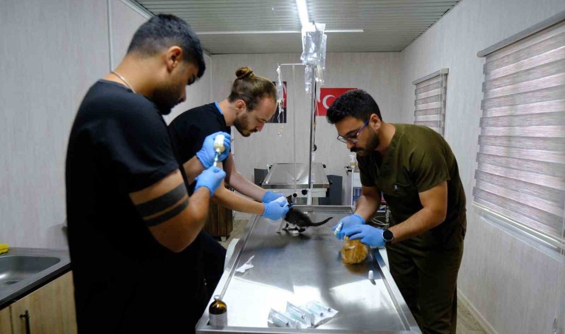 Altıeylül Belediyesi Veteriner İşleri Müdürlüğü bünyesinde faaliyet gösteren Hayvan Bakımevi